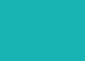 Color 1.png